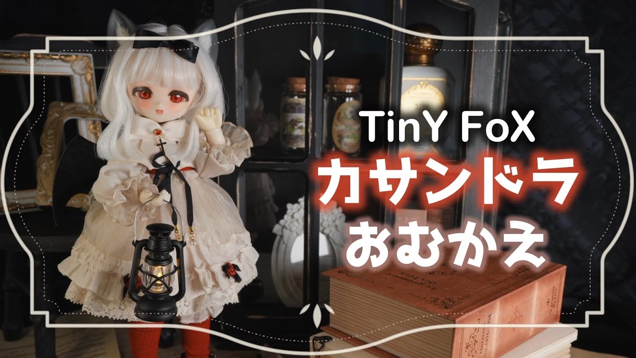 【ドールお迎え】TinyFox夕暮れ子猫カサンドラ🐈‍⬛