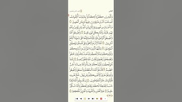 سورة التغابن  تلاوة الشيخ صلاح البدير