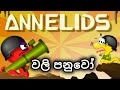 Annelids sinhala gameplay.