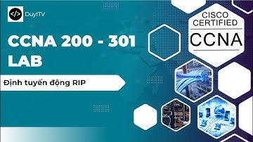 CCNA: Định tuyến động RIP