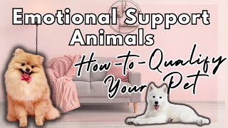 Qualify Your Pet as ESA: Smooth Process