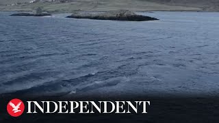 50-Tonne Sperm Whale Is Ed Out To Sea Off The Coast Of Shetland