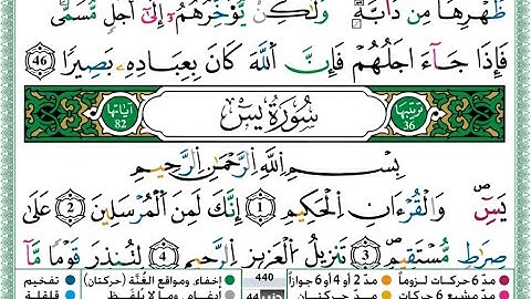 سورة يس مكتوبة بصوت المقرئ حمزة الجزائري مع قواعد التجويد رواية ورش عن نافع