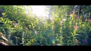 Teemu T - Emptified (ambient mix)