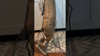 Vintage The Hurley Thor (1917) Vacuum Cleaner restored