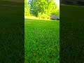 A GRANDER SNAKE 🐍 IN SPENCER NY ON ACADEMY ST IN MY YARD ON A VERY WARM FRIDAY MORNING JUNE 5TH 2026