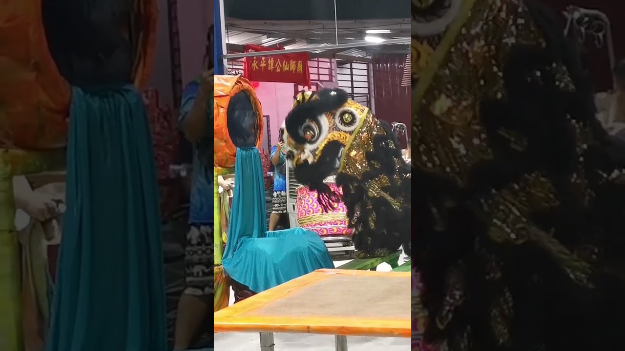 柔佛新山白鹤派武術龙狮體育會🇲🇾 PAKHOCK PHYSICAL TRAINING ASSOCIATION JB