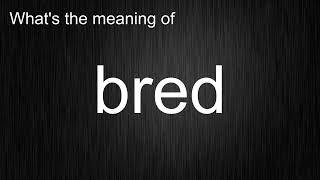 What's the meaning of 'bred', How to pronounce bred? What's the meaning of 'bred', How to pronounce bred?