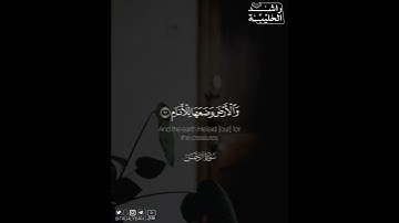 ﴿الشَّمْسُ وَالْقَمَرُ بِحُسْبَانٍ﴾ | القارئ: راشد الحليبة