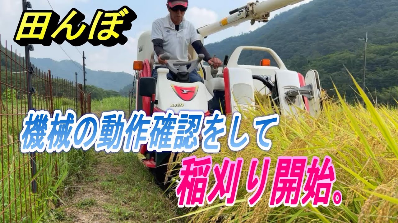 【2025年稲刈り開始】機械の動作確認をして稲刈り開始です。トラブルがありませんように・・・。