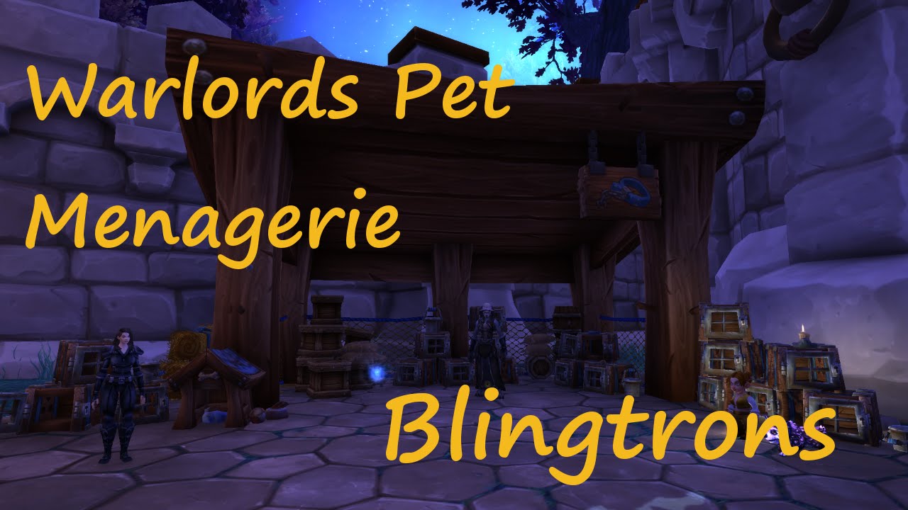 WoD Pet Battle Guide: Blingtron-4999B, Protectron-022481, & Protectron-011803
