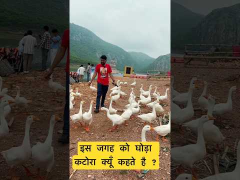 Is this the most peaceful place in Rajgir? #india #buddha #peace