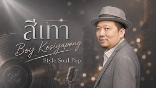 สีเทา - Boy Kosiyapong [Style.Soul Pop]