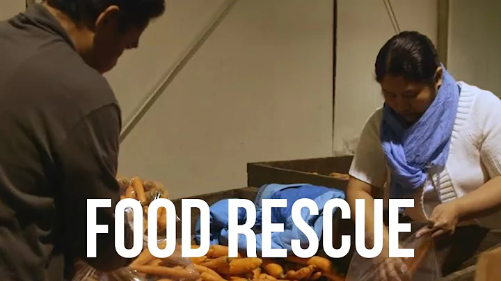 Food Rescue / TINA QUIRING