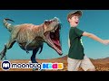 Dinosaur Training Tips - Fitness First | Jurassic Tv | Dinosaurs and Toys | T Rex Family Fun