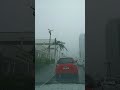 CHUVAS RENASCENÇA SÃOLUÍS.