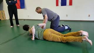 Systema with Mark J: Dissecting Strikes Seminar - Form & Pushing with the Whole Body