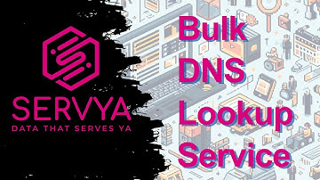 Bulk DNS Lookup - Servya Guide