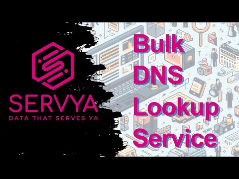 Bulk DNS Lookup - Servya Guide