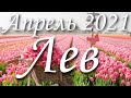 Прогноз на месяц Апрель 2021 года для представителей знака зодиака Лев