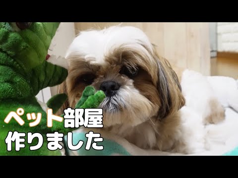 【ペットの部屋】新居におもちゃやベットを置いて犬部屋を作っちゃいました。【シーズーVlog】