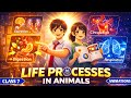 Life Processes in Animals | Class 7 Science Chapter 9 | NCERT Animated One Shot | 2026 | Exam Prep |