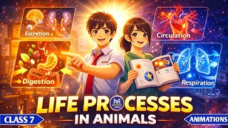 Life Processes in Animals | Class 7 Science Chapter 9 | NCERT Animated One Shot | 2026 | Exam Prep |