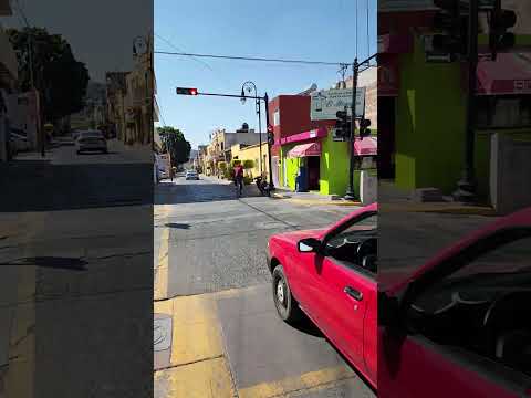 Purísimadelrincón Viajes Fyp Purisima 