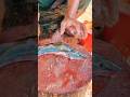 Perfect Fish Cutting Skills In Bangladesh Fish Market