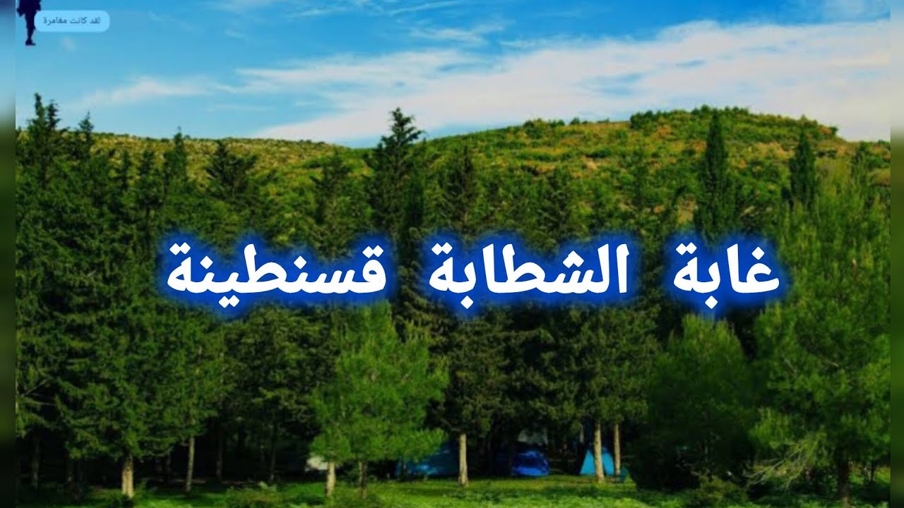 جمال غابة الشطابة قسنطينة سحر الطبيعة الجزائرية 