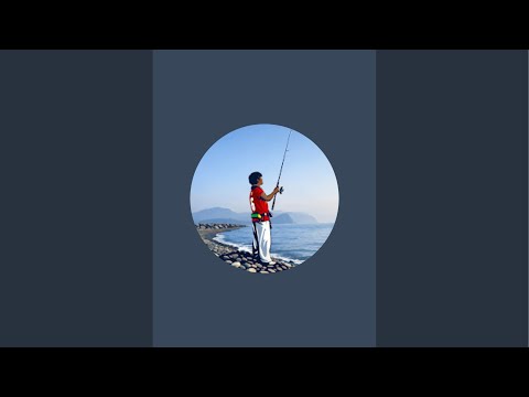 サーフ釣り引退により手放します。 Light tackle fishing is being live-streamed! - YouTube