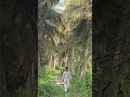 #salem7878 #view #mapvideo #mapview #kerela #kerelatourism