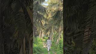#salem7878 #view #mapvideo #mapview #kerela #kerelatourism
