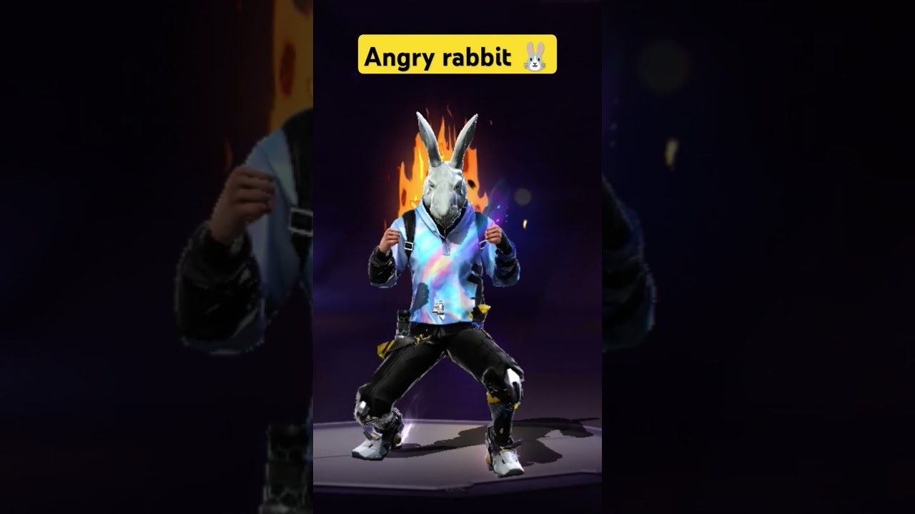 angry rabbit 🐇🐰