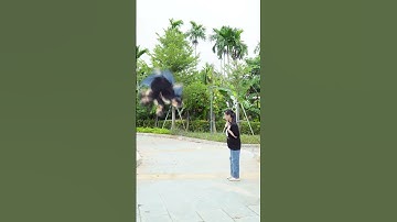 jump up spin around and get kicked away 🤣🤣#funny #shortsvideo #humorous  #funny #vfx
