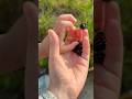 Yusuf’u böğürtlen top #youtubeshorts #funny