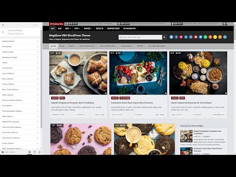 Customizer Theme Options - MagShow PRO WordPress Theme