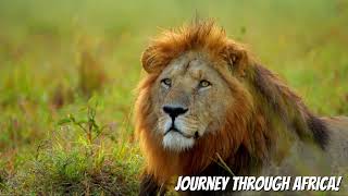 Africa coloring books video