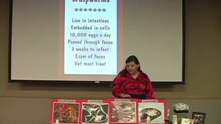 4-H Project Achievement – Veterinary Science