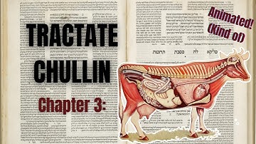An Animated Summary of the Entire Talmud | Book 32, Chapter 3