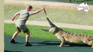 The best zoo moments of the year | Australia Zoo Life