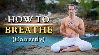 10 Minute Heart Coherence Breathwork For Stress Relief I The Perfect Breath