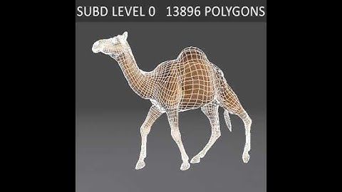 Animated Camel 3D model from CGTrader.com