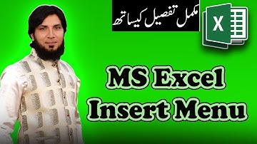 MS Excel Insert Menu