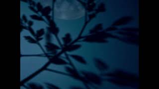 Fading Shadows  Dark Emotional Song