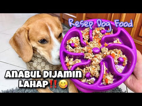 Video: Resipi Makanan Anjing Delicious untuk Anjing Kecil