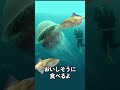 【閲覧注意】実在する海の巨大生物3選