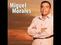 LA LLEVARE EN MIS SUEÑOS/ miguel morales