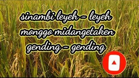 LANGGAM JAWA COCOK JAMPI SAYAH...!! SAMBIL LEYEH LEYEH...