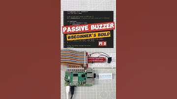 Can a Buzzer Play Music? 🎶 Raspberry Pi Says YES! #arduino #arduinoproject #experiment #raspberrypi